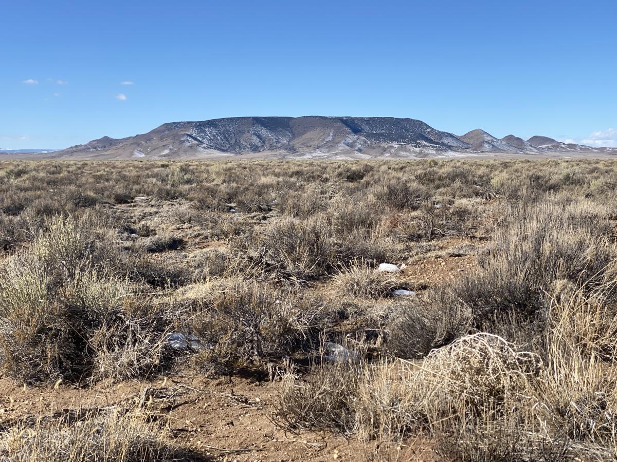 4.73 Acres for Sale in Blanca, Colorado