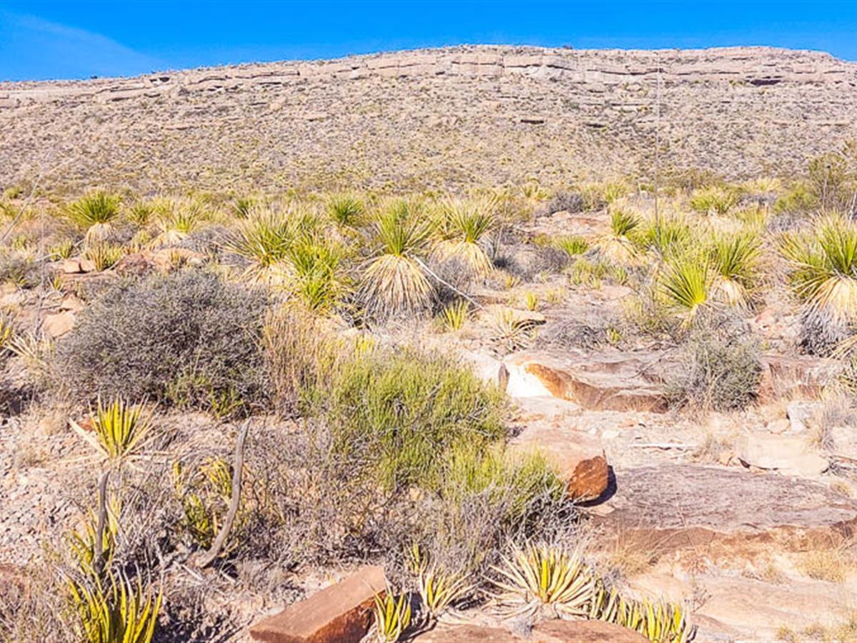 10.65 Acres for Sale in Mile High, Texas