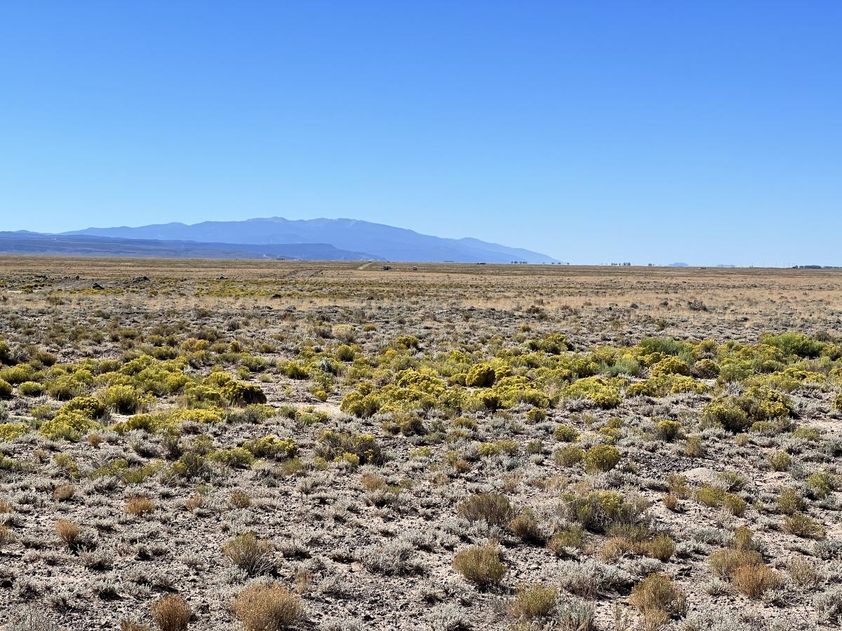 9.58 Acres for Sale in San Luis, Colorado