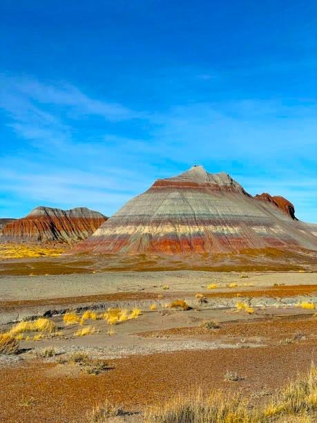 0.99 Acres for Sale in Sanders, Arizona