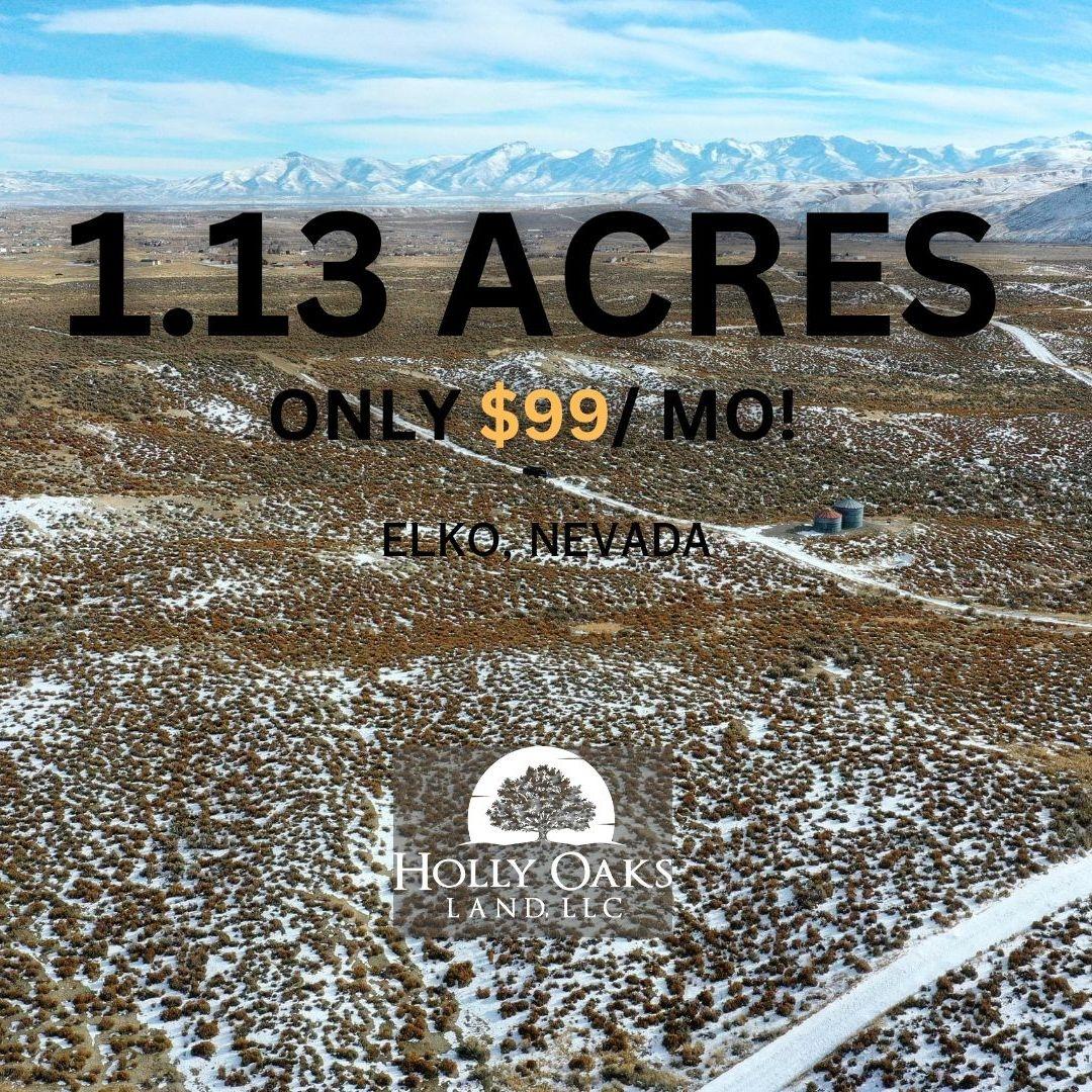 1.13 Acres for Sale in Cobre, Nevada
