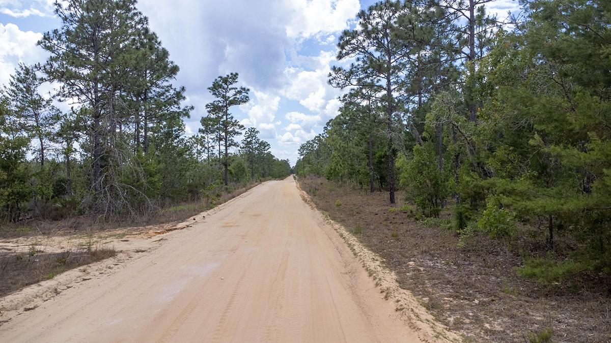 0.27 Acres for Sale in Interlachen, Florida