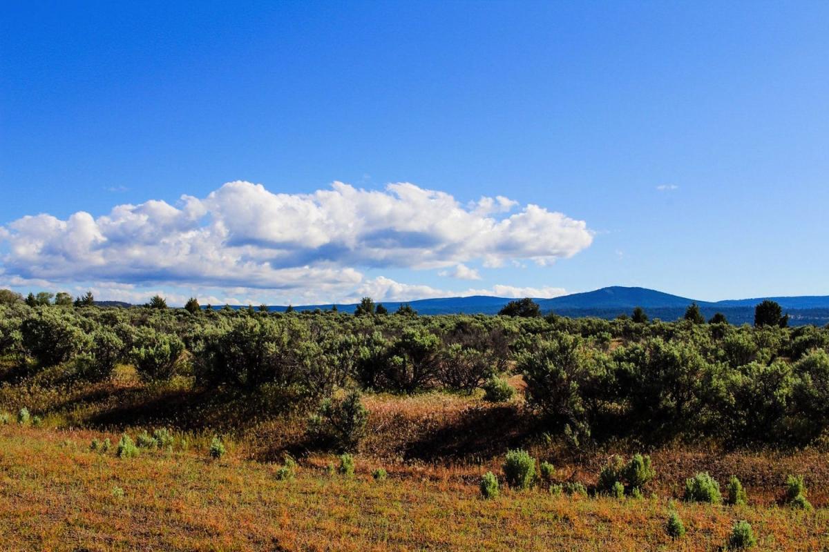 1.53 Acres for Sale in California Pines, California