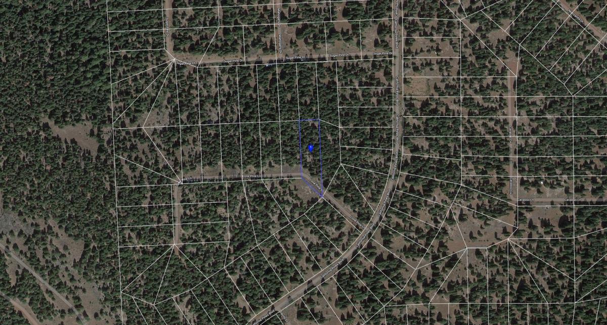 1.13 Acres for Sale in California Pines, California