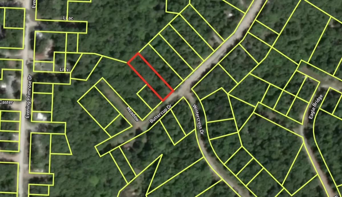 0.21 Acres for Sale in Iconium, Missouri