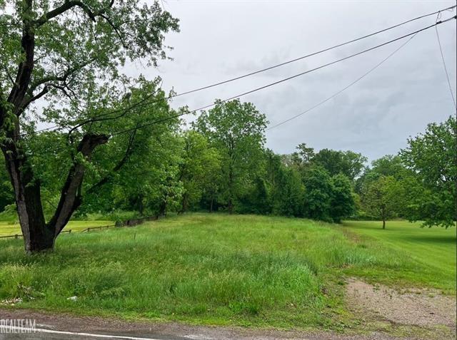 0.17 Acres for Sale in Flint, Michigan