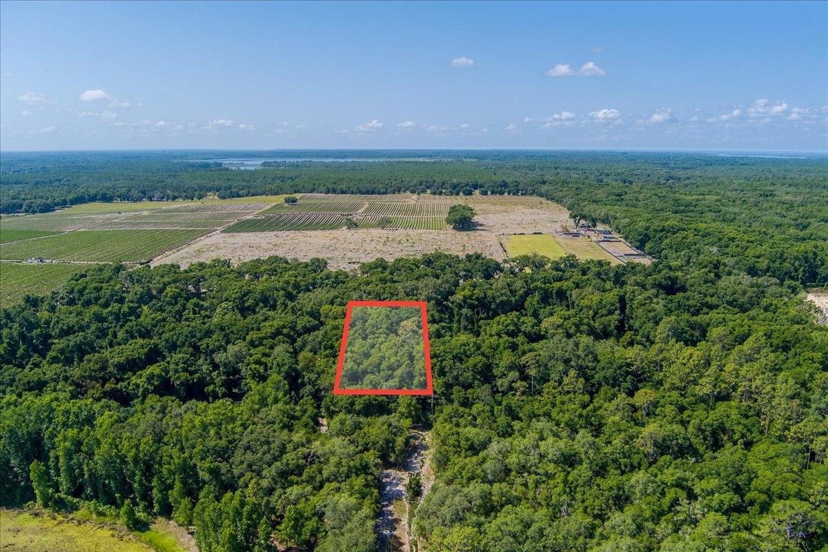 0.4 Acres for Sale in Pomona Park, Florida