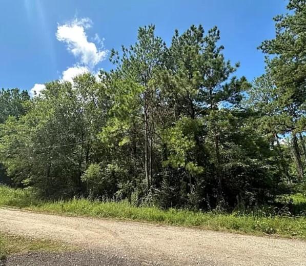 0.26 Acres for Sale in West Livingston, Texas