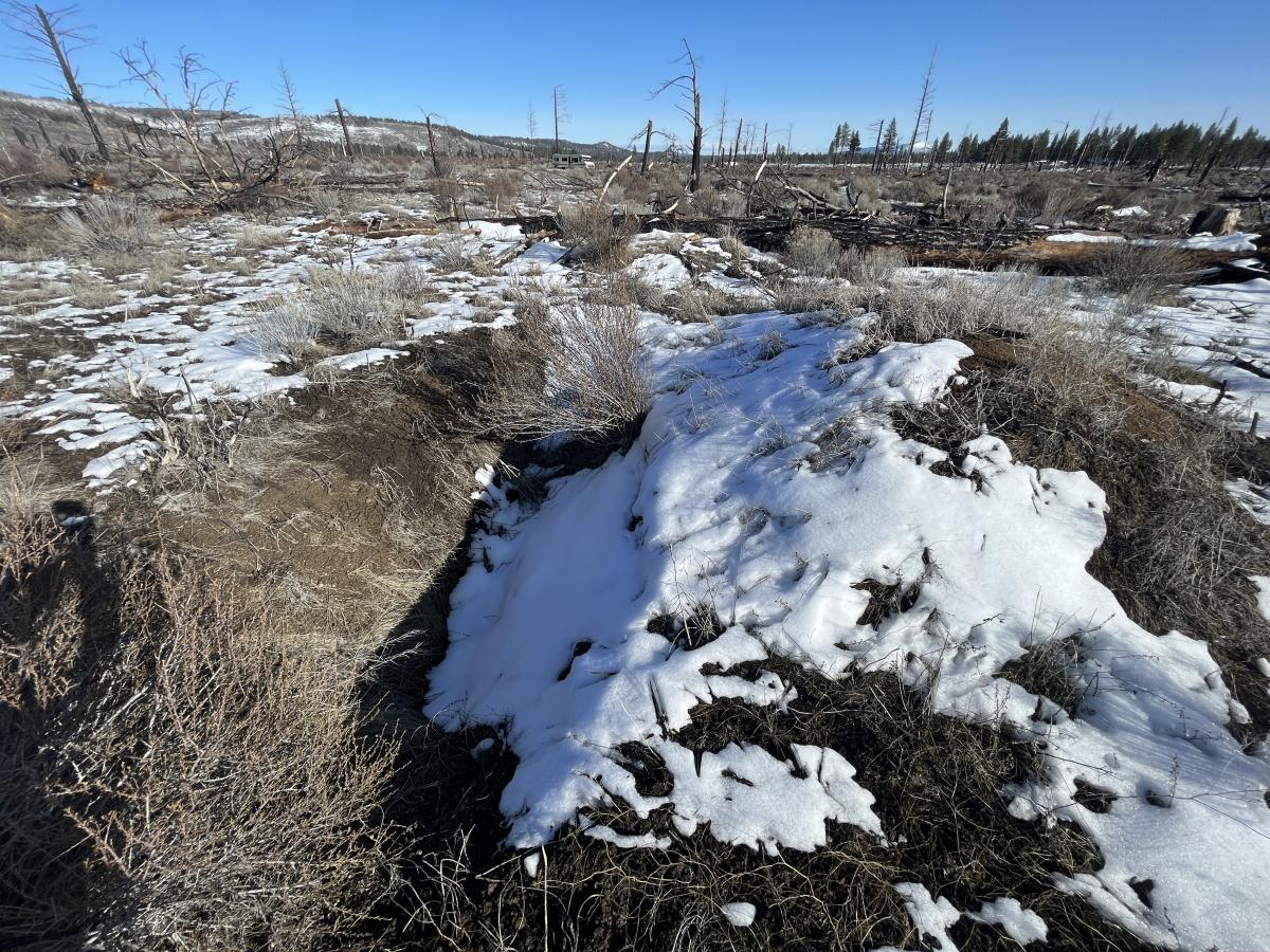 2.31 Acres for Sale in Sprague River, Oregon