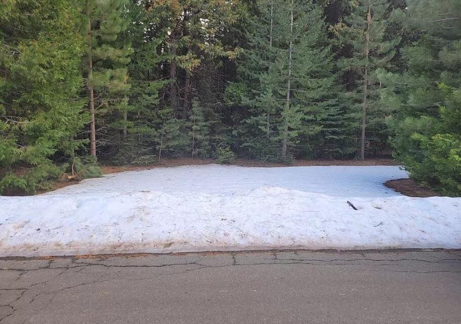 0.51 Acres for Sale in Shingletown, California