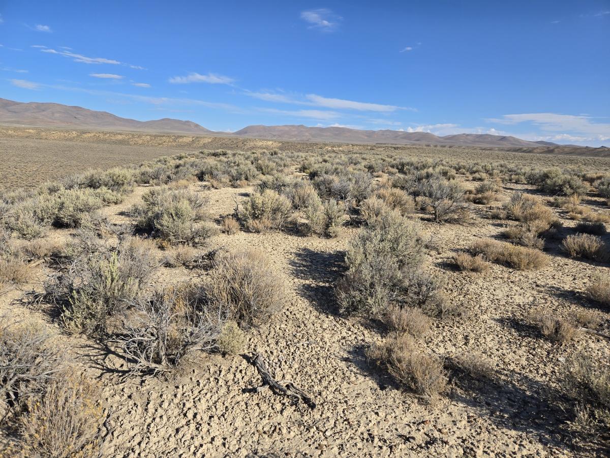 20 Acres for Sale in Elko, Nevada