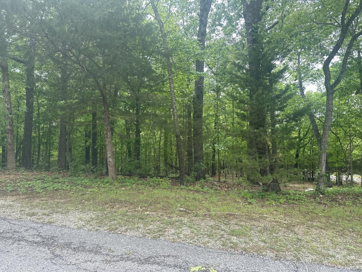 0.31 Acres for Sale in Horseshoe Bend, Arkansas