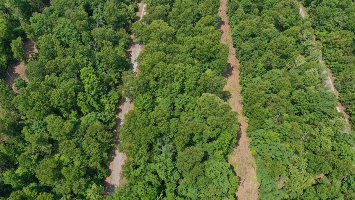 0.28 Acres for Sale in Horseshoe Bend, Arkansas