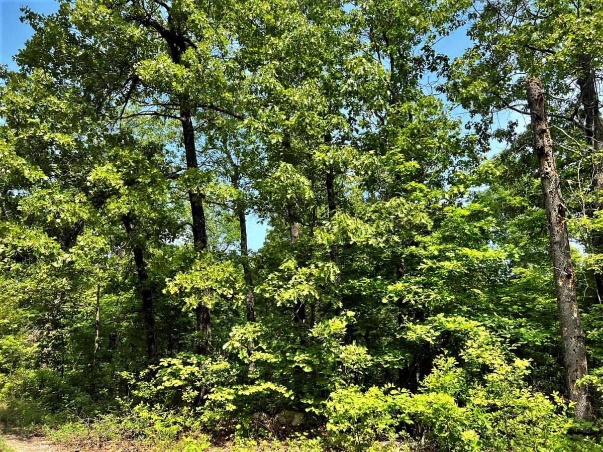 0.28 Acres for Sale in Horseshoe Bend, Arkansas