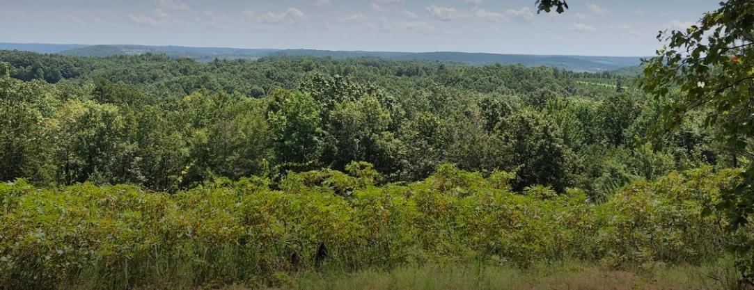 0.36 Acres for Sale in Cherokee Village, Arkansas
