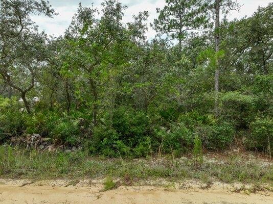0.22 Acres for Sale in Interlachen, Florida