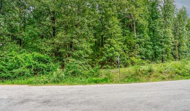 0.36 Acres for Sale in Cherokee Village, Arkansas