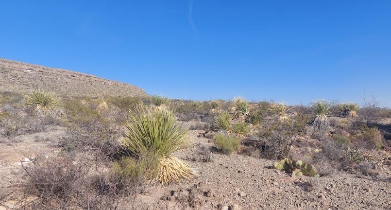 10.65 Acres for Sale in Mile High, Texas