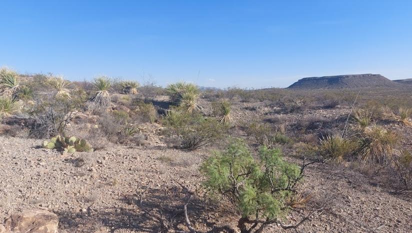 10.65 Acres for Sale in Mile High, Texas