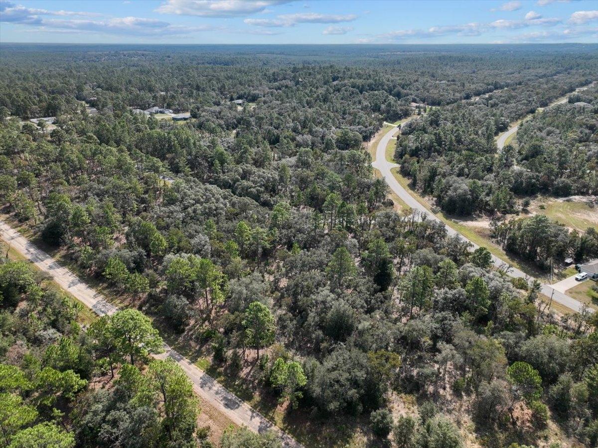 0.23 Acres for Sale in Citrus Springs, Florida