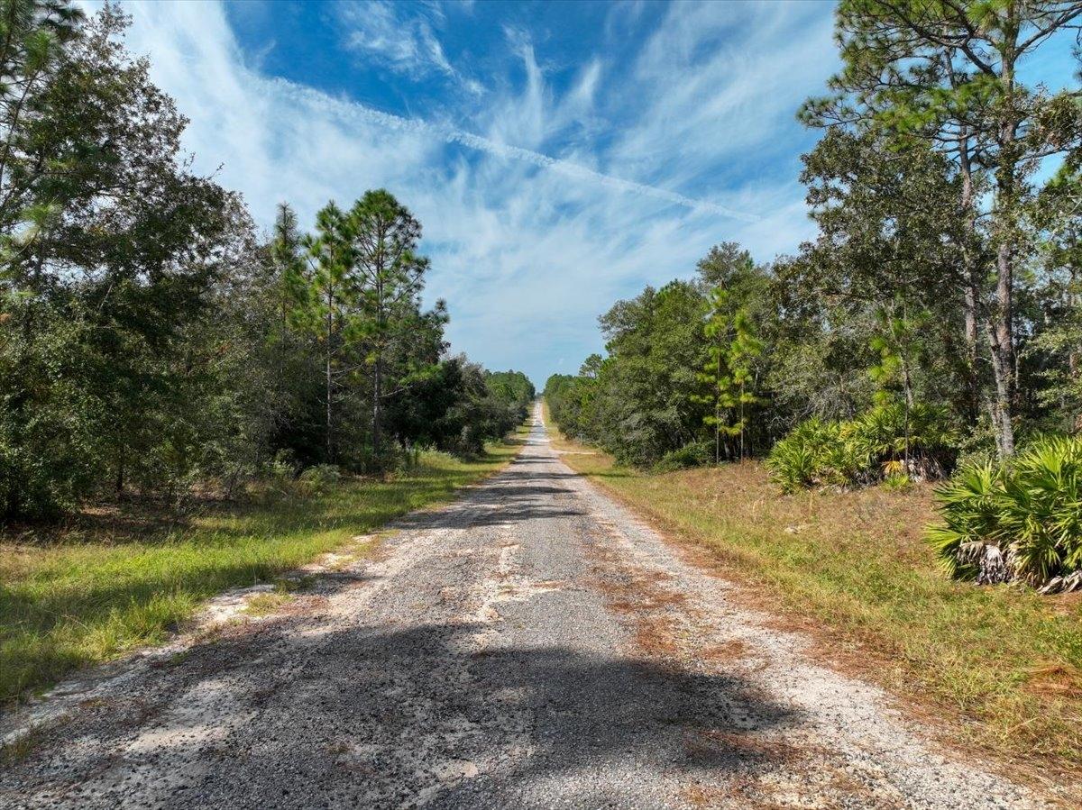 0.23 Acres for Sale in Citrus Springs, Florida