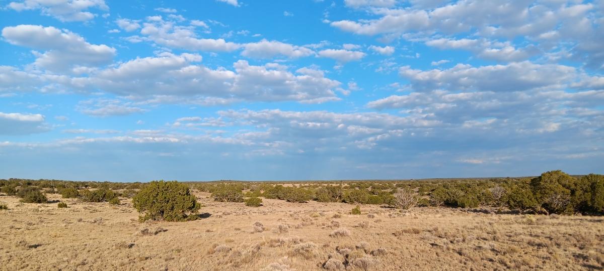 1.06 Acres for Sale in Chambers, Arizona State