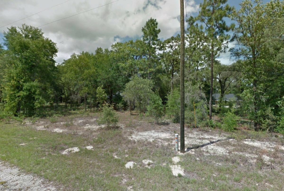 0.24 Acres for Sale in Citrus Springs, Florida