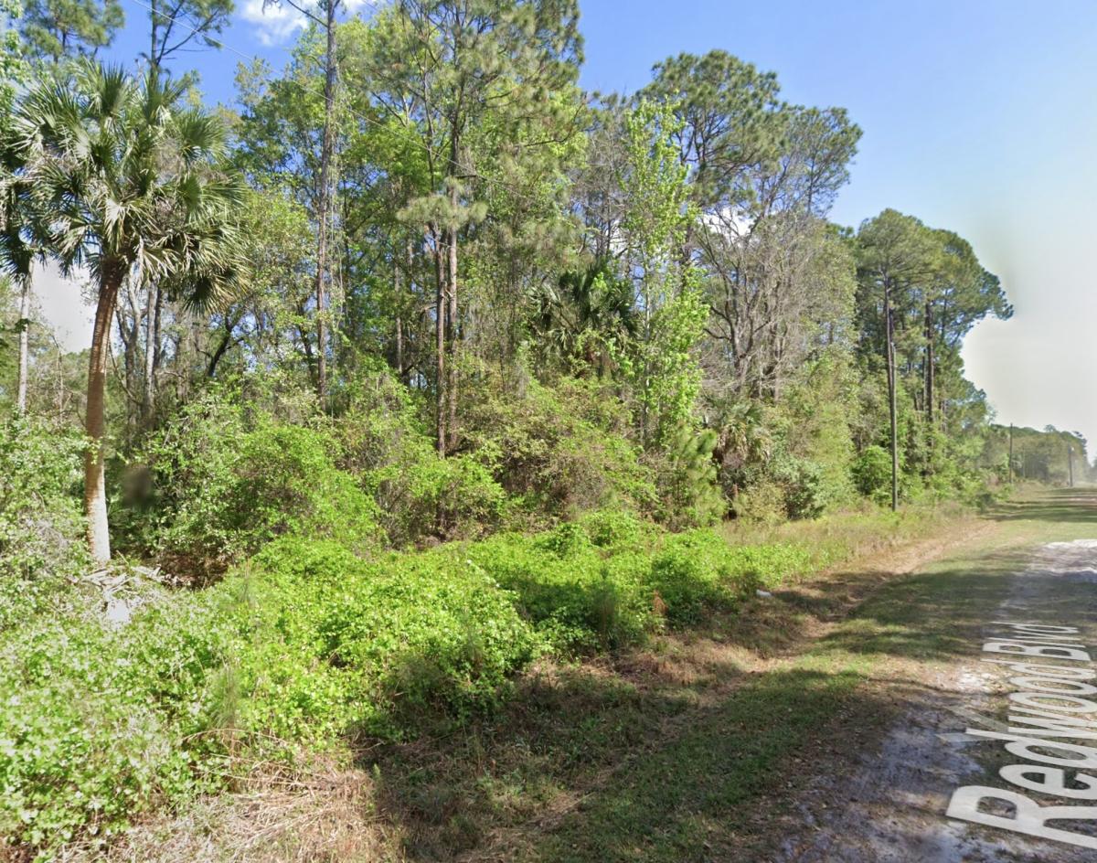 0.46 Acres for Sale in Georgetown, Florida