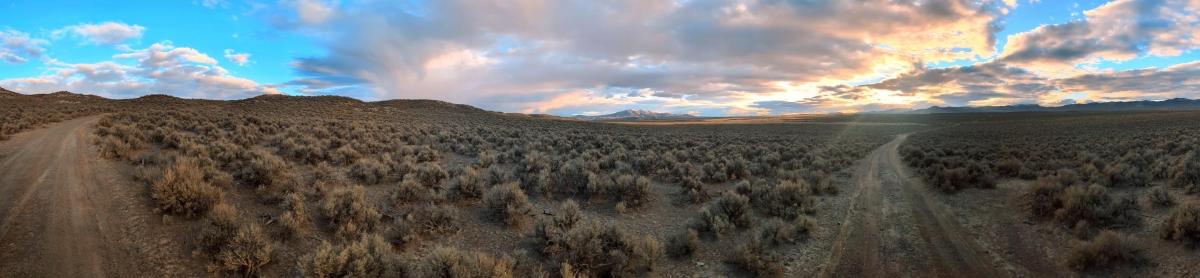20 Acres for Sale in Ryndon, Nevada
