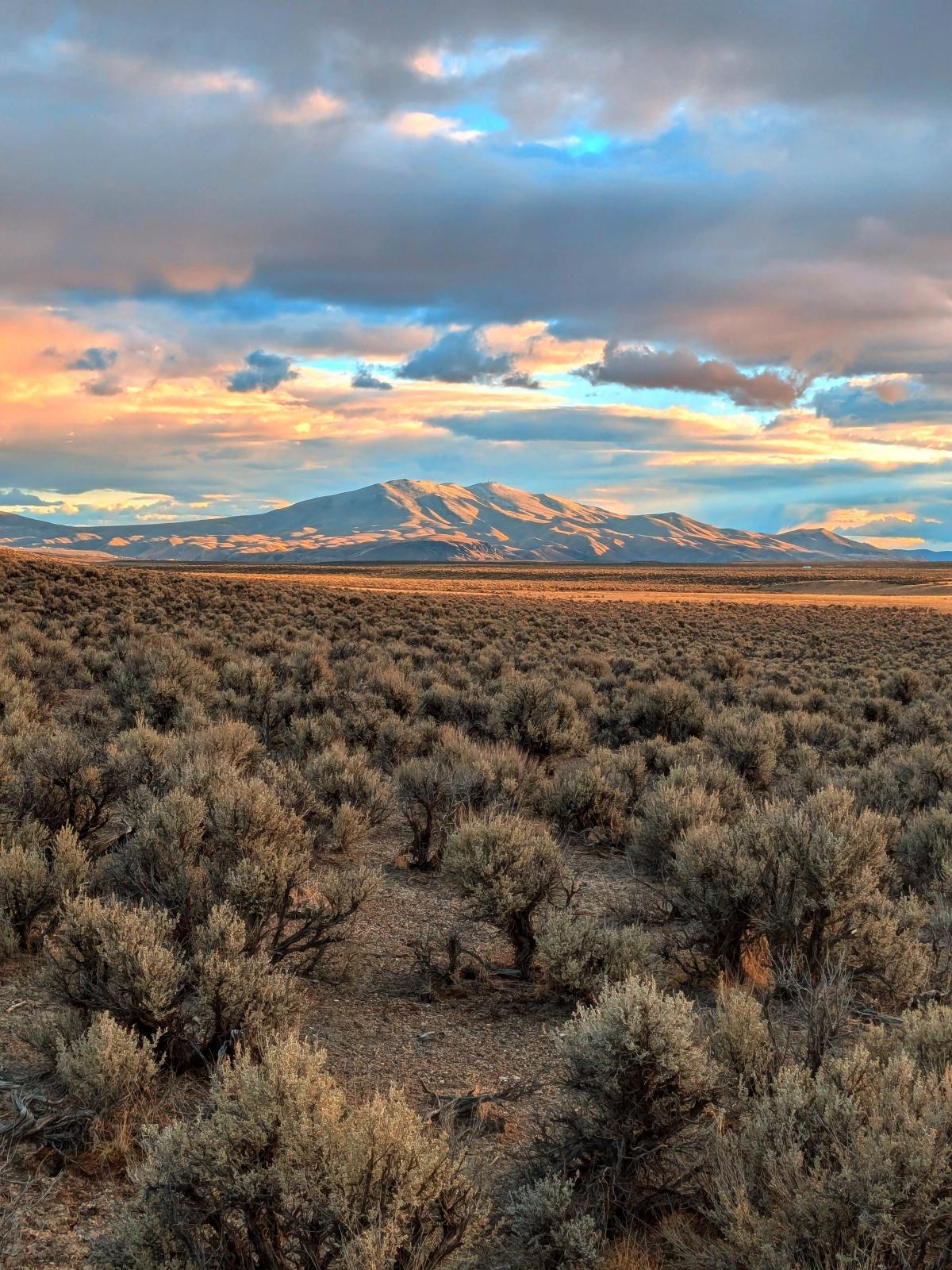 20 Acres for Sale in Ryndon, Nevada