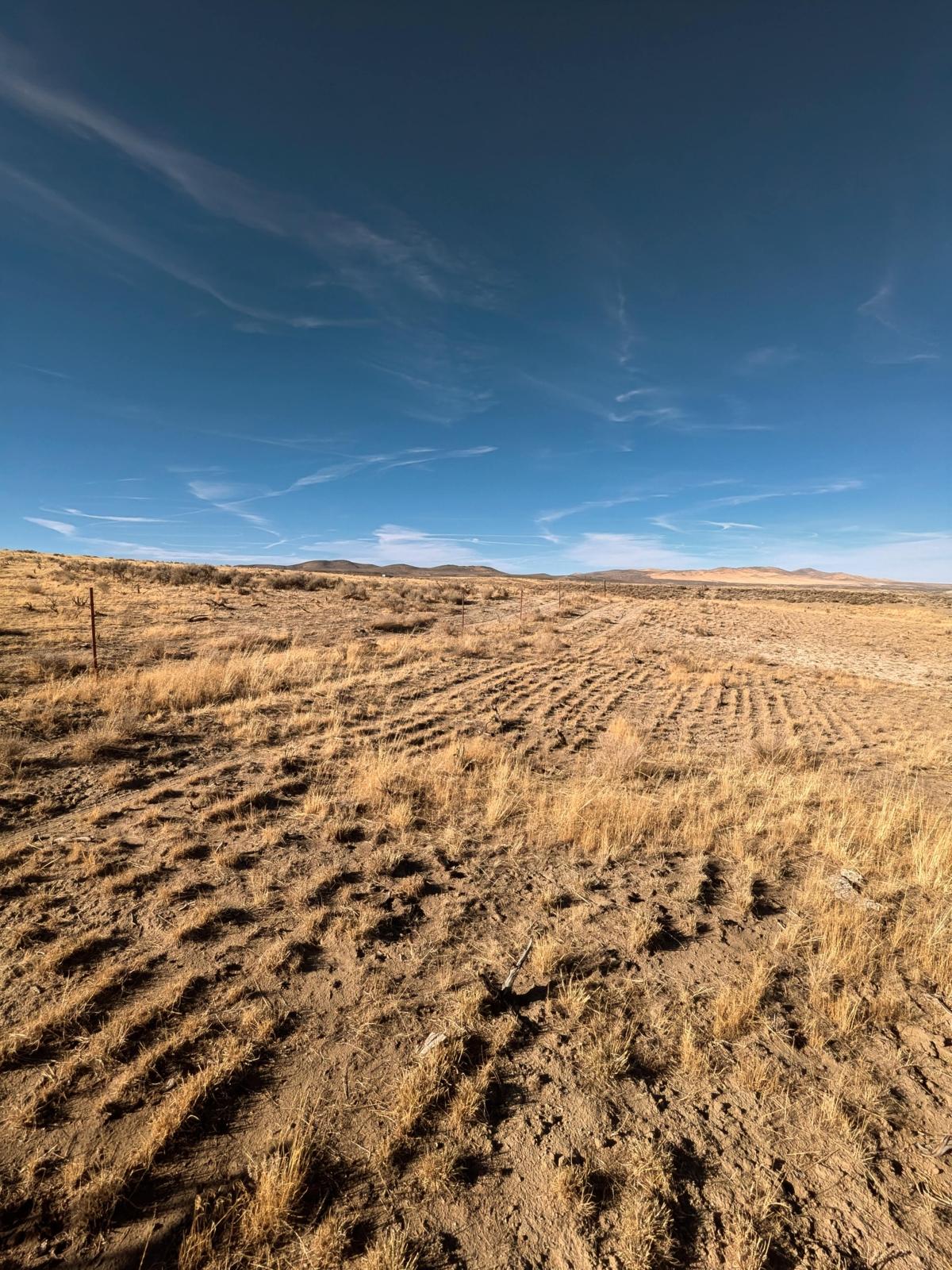40 Acres for Sale in Halleck, Nevada