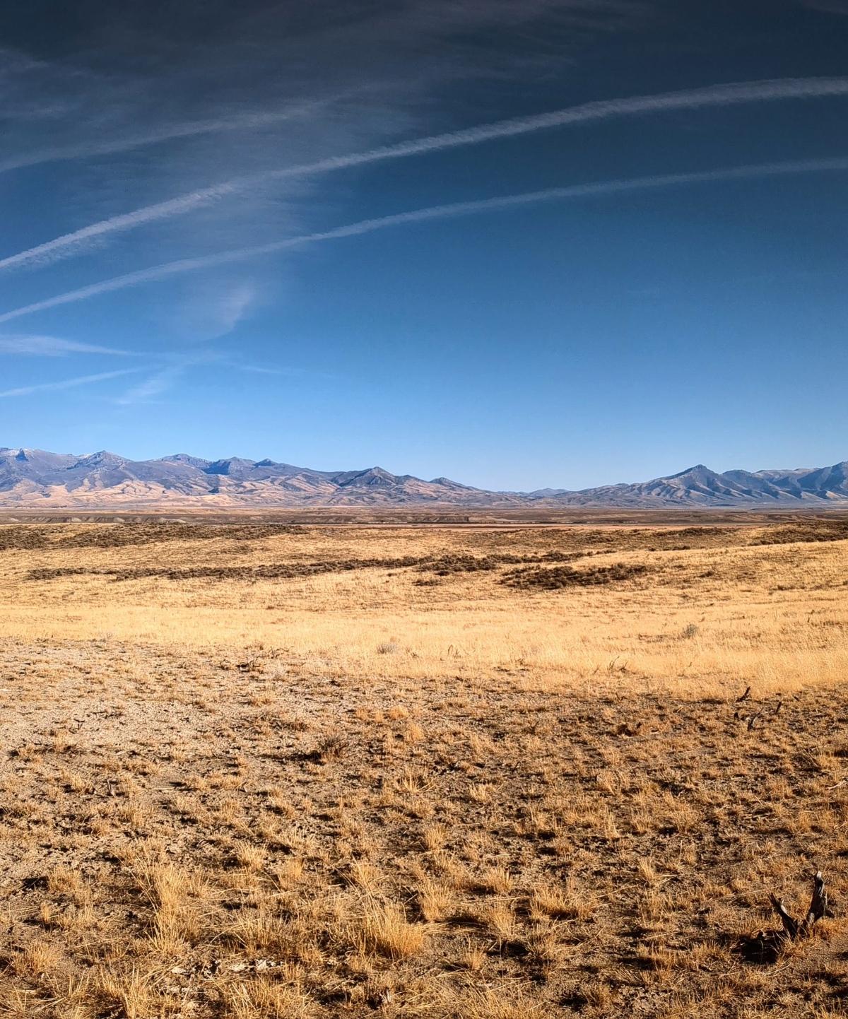 40 Acres for Sale in Halleck, Nevada