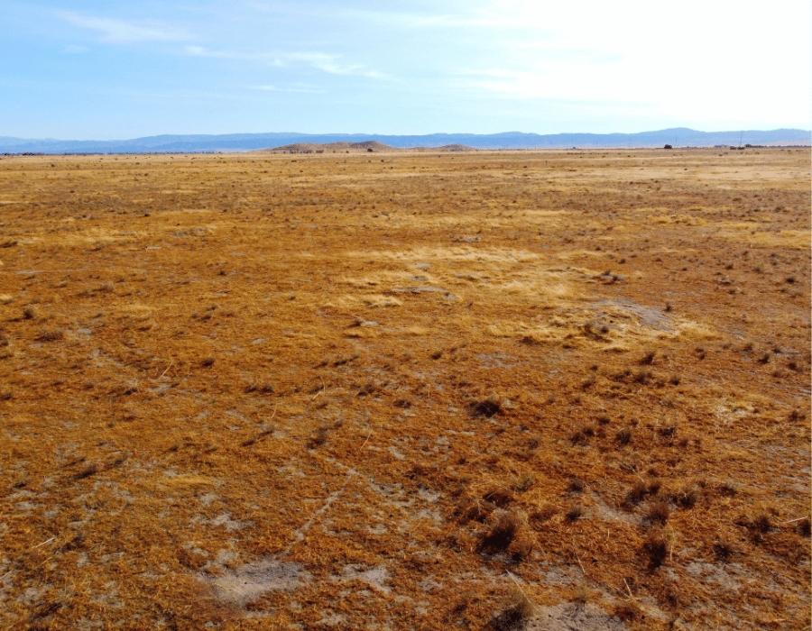 2.72 Acres for Sale in Lancaster, California