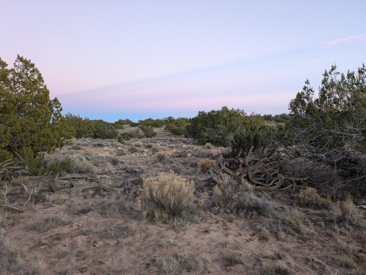 1.26 Acres for Sale in Chambers, Arizona
