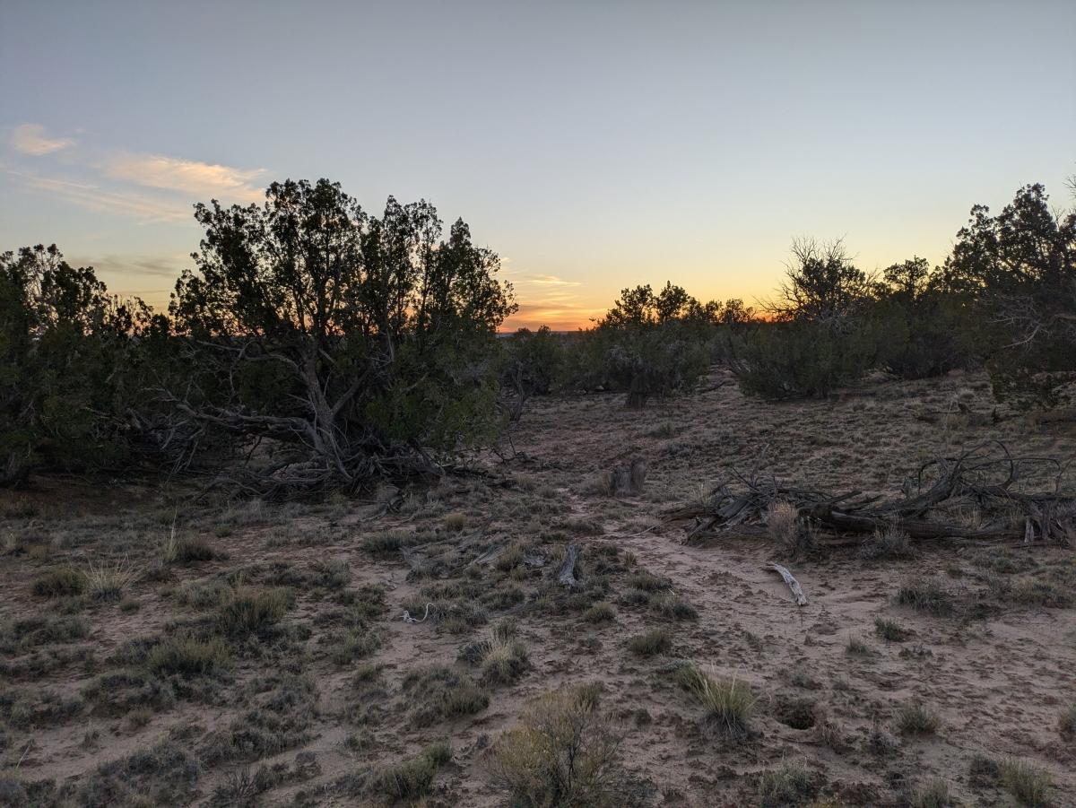 1.26 Acres for Sale in Chambers, Arizona