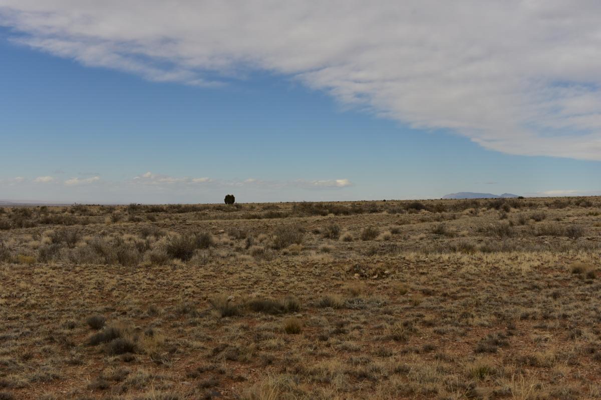 5.85 Acres for Sale in Belen, New Mexico