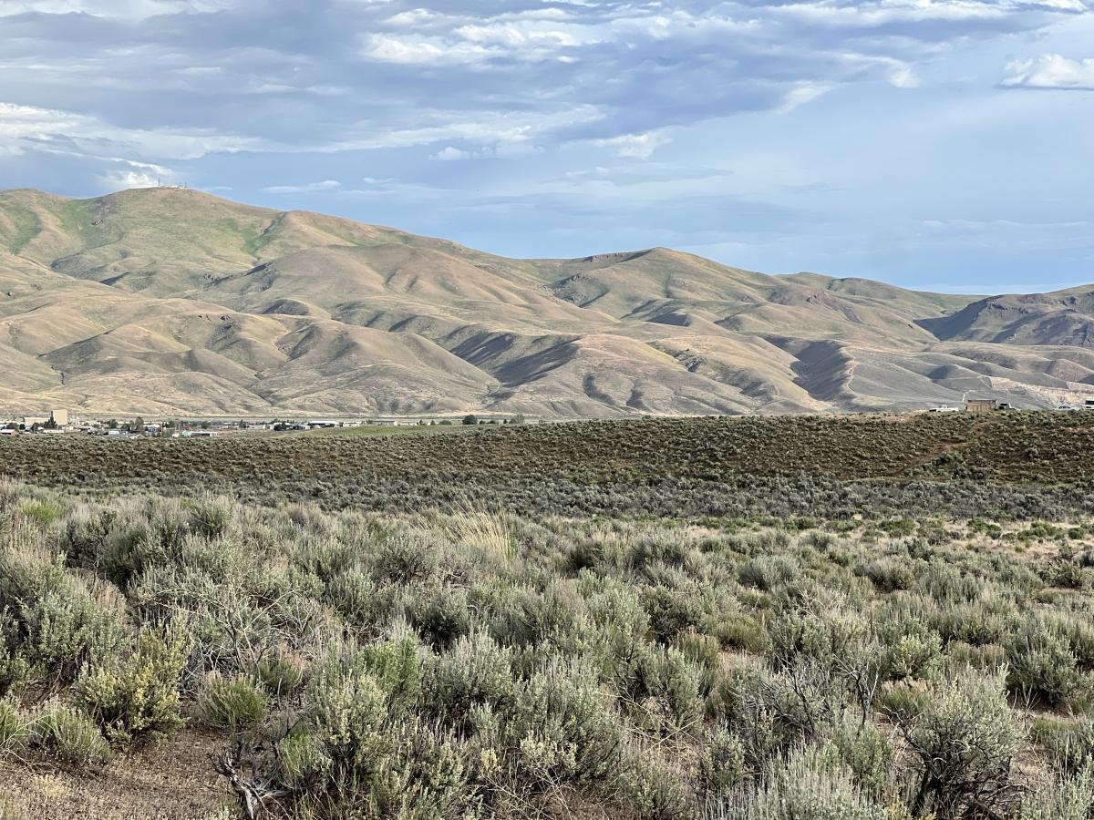 1.03 Acres for Sale in Osino, Nevada