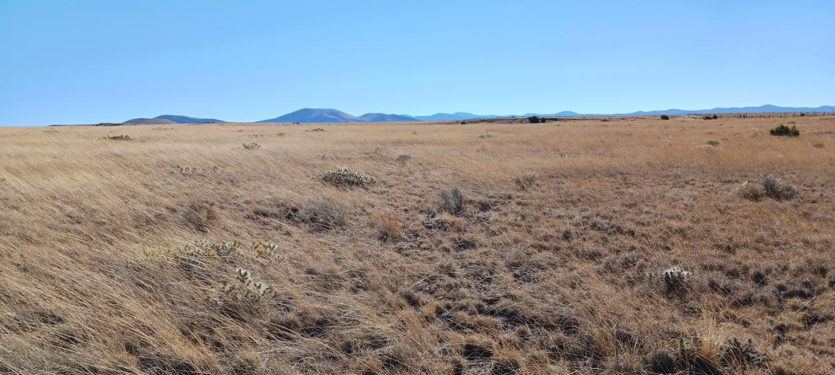 1.1 Acres for Sale in Show Low, Arizona