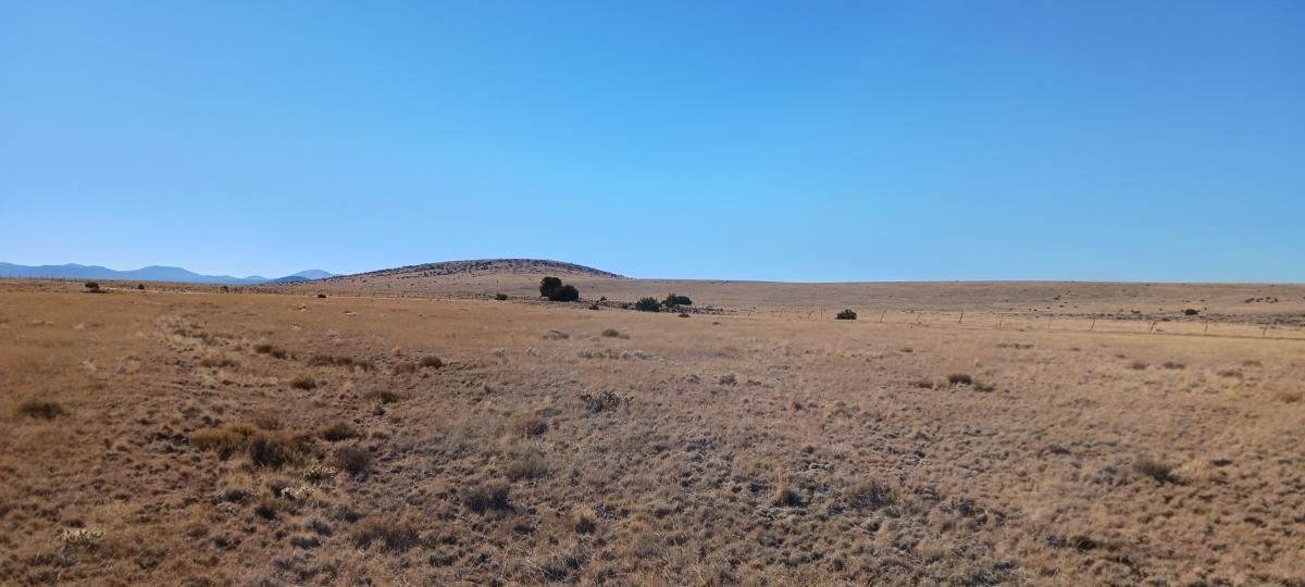 1.1 Acres for Sale in Show Low, Arizona