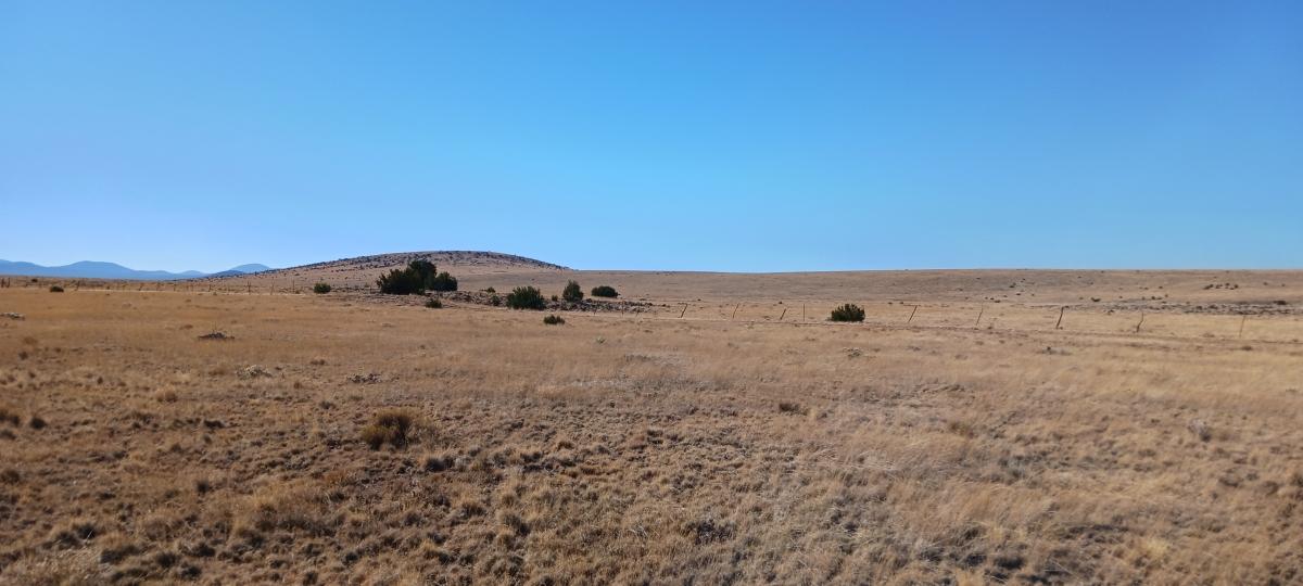 1.1 Acres for Sale in Show Low, Arizona