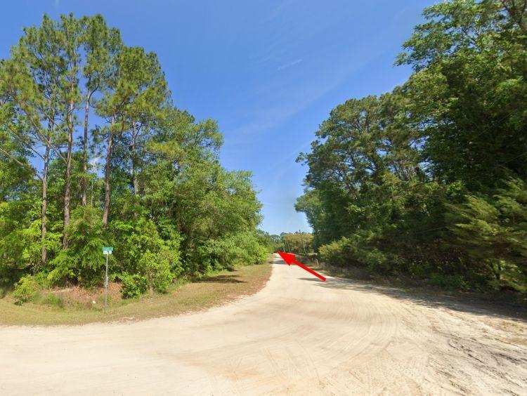 1.63 Acres for Sale in Palatka, Florida