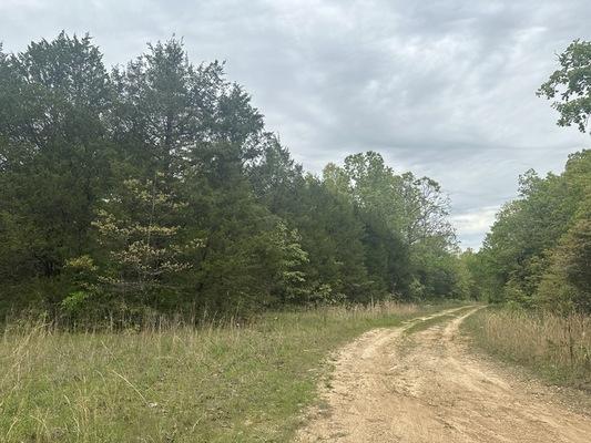 0.23 Acres for Sale in Horseshoe Bend, Arkansas