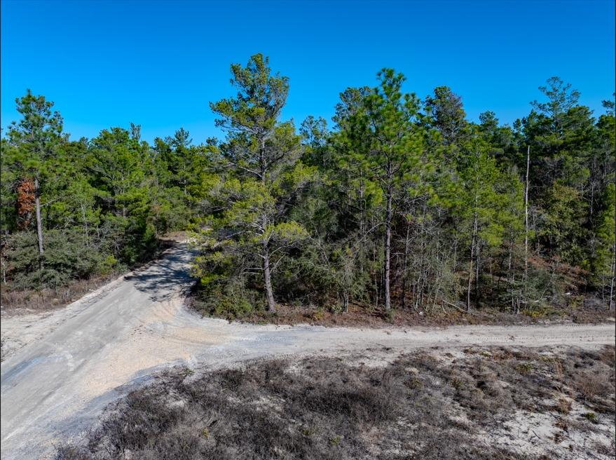 0.23 Acres for Sale in Defuniak Springs, Florida