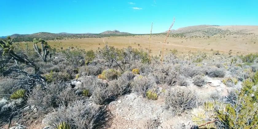 1.25 Acres for Sale in Meadview, Arizona