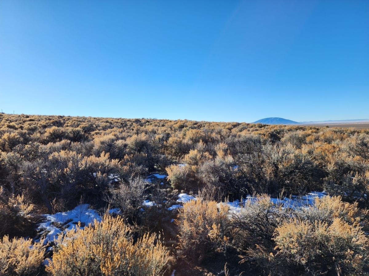 2.53 Acres for Sale in San Luis, Colorado