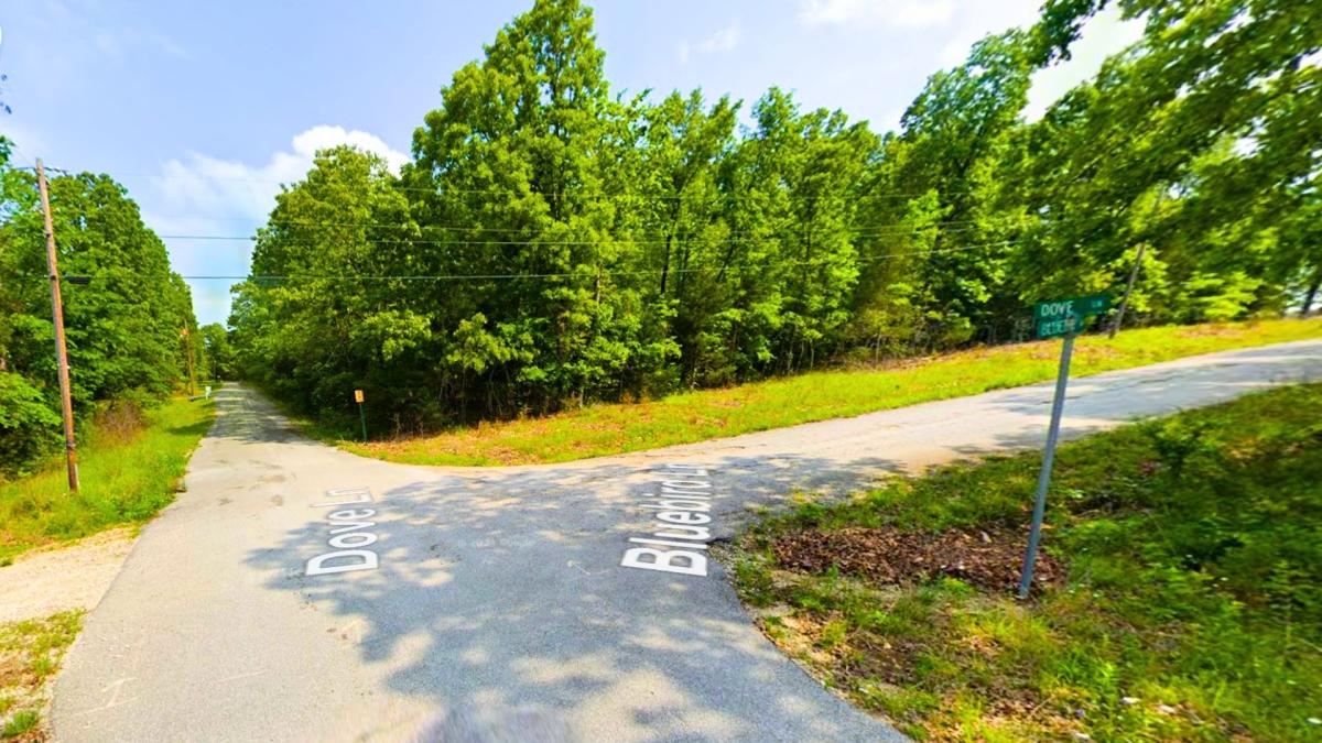 0.29 Acres for Sale in Horseshoe Bend, Arkansas