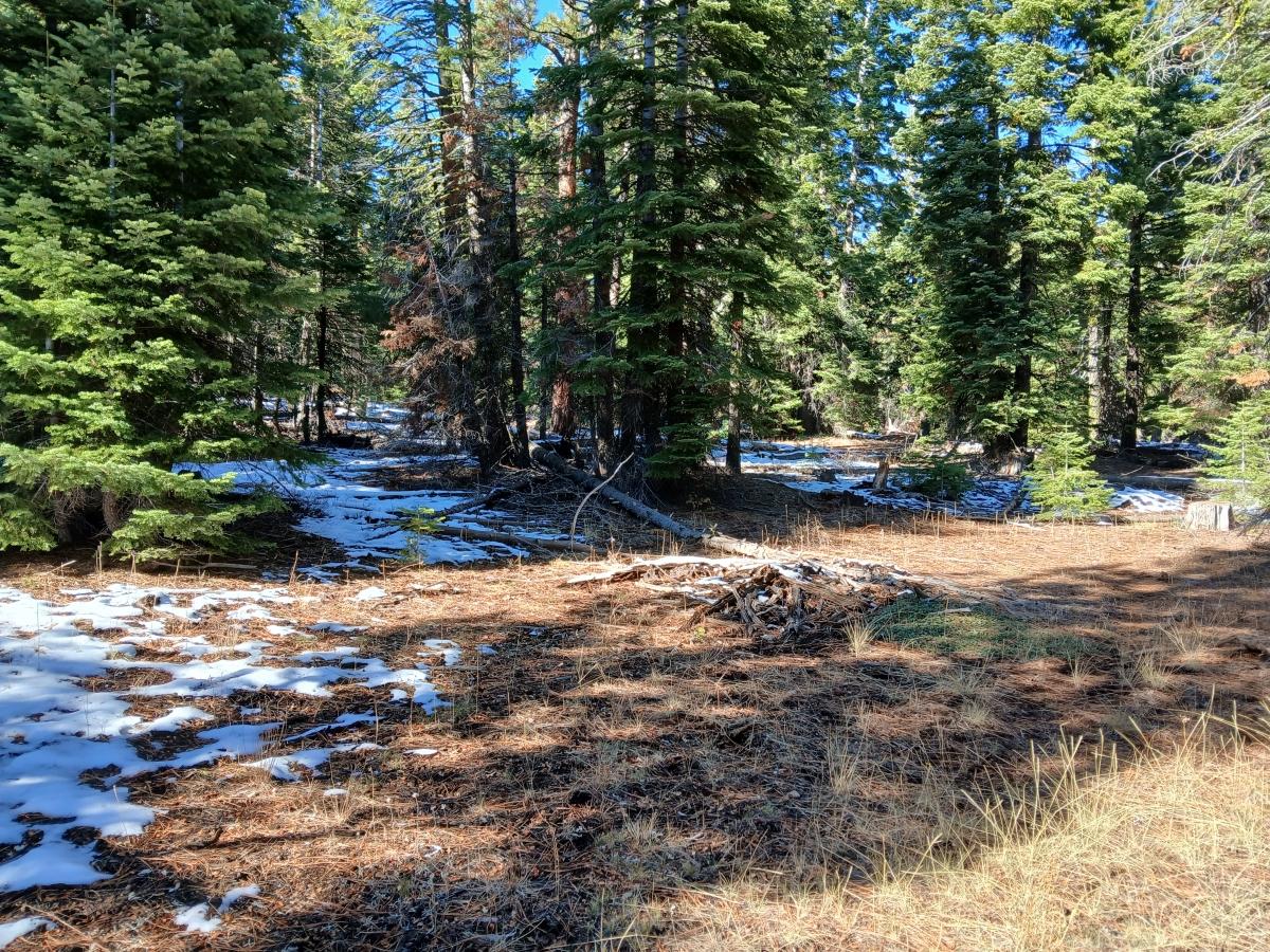 0.92 Acres for Sale in Alturas, California