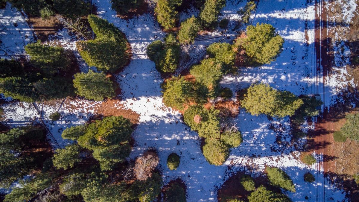 0.92 Acres for Sale in Alturas, California