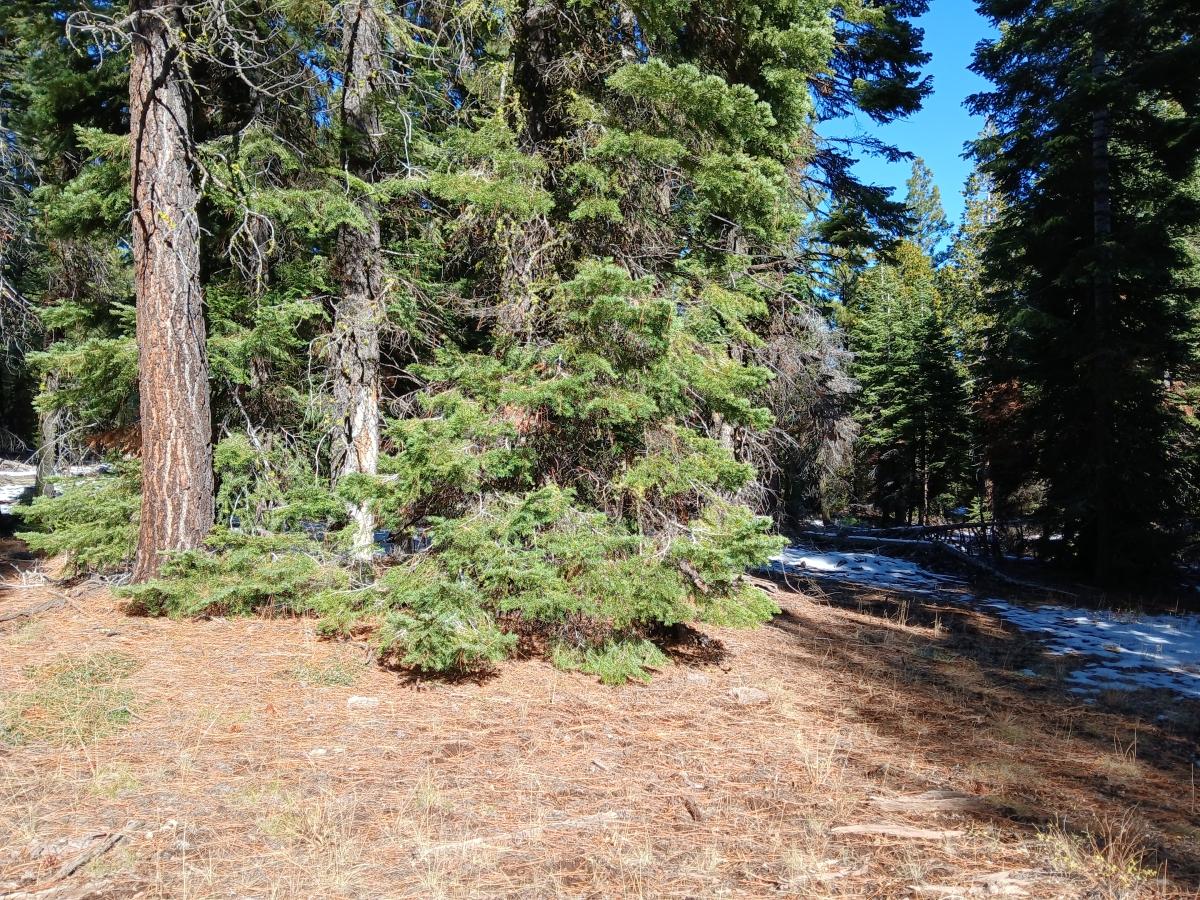 0.92 Acres for Sale in Alturas, California