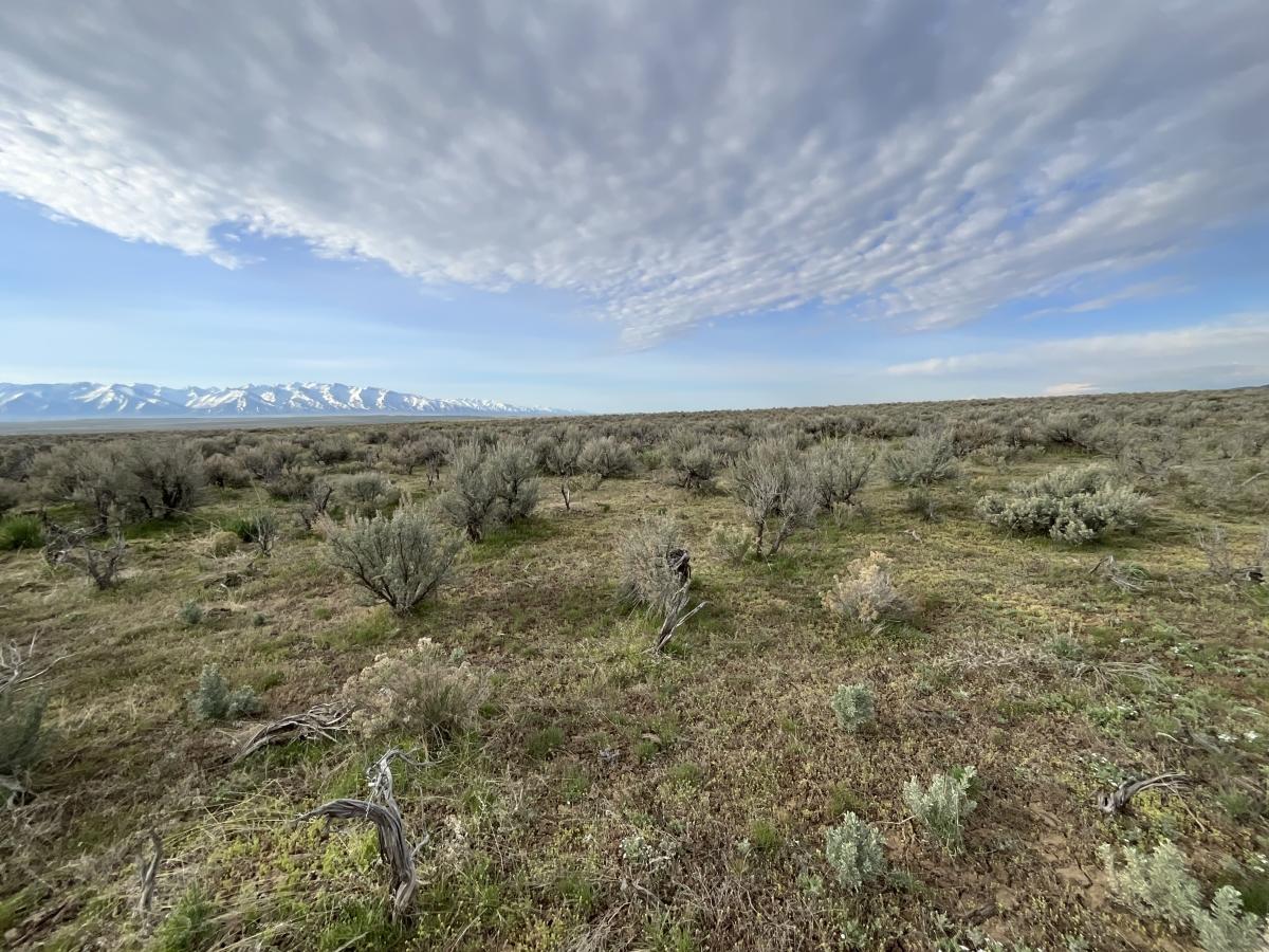 1.13 Acres for Sale in Spring Creek, Nevada